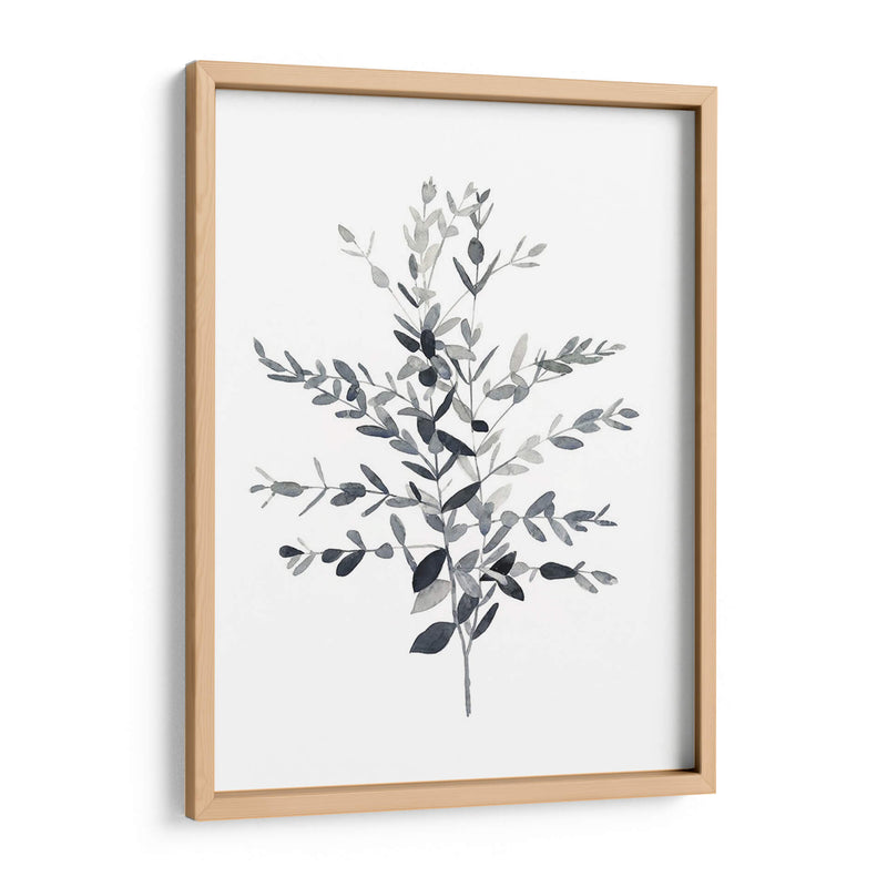 Paynes Gray Botanicals Ii - Emma Scarvey | Cuadro decorativo de Canvas Lab