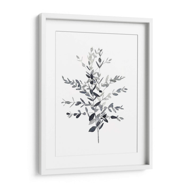 Paynes Gray Botanicals Ii - Emma Scarvey | Cuadro decorativo de Canvas Lab