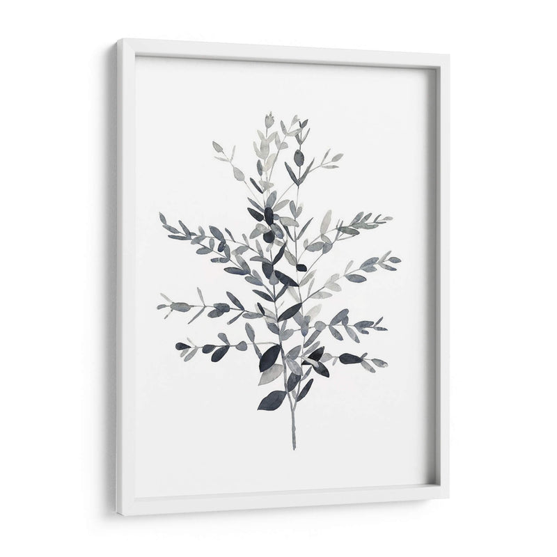 Paynes Gray Botanicals Ii - Emma Scarvey | Cuadro decorativo de Canvas Lab