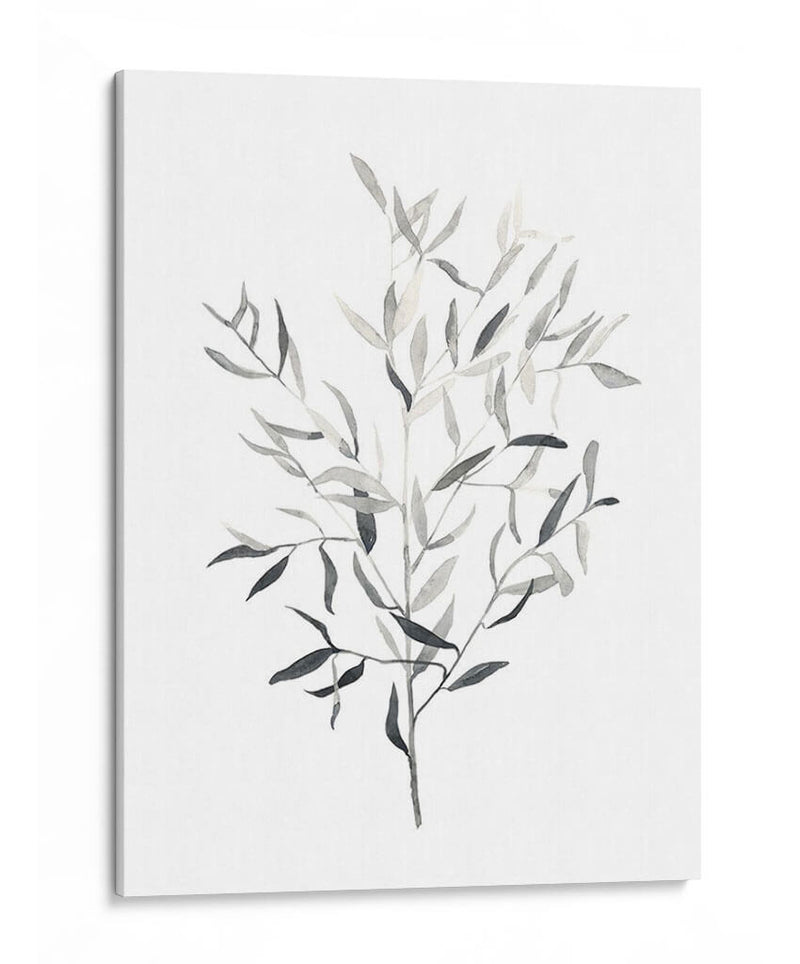 Paynes Gray Botanicals Iii - Emma Scarvey | Cuadro decorativo de Canvas Lab