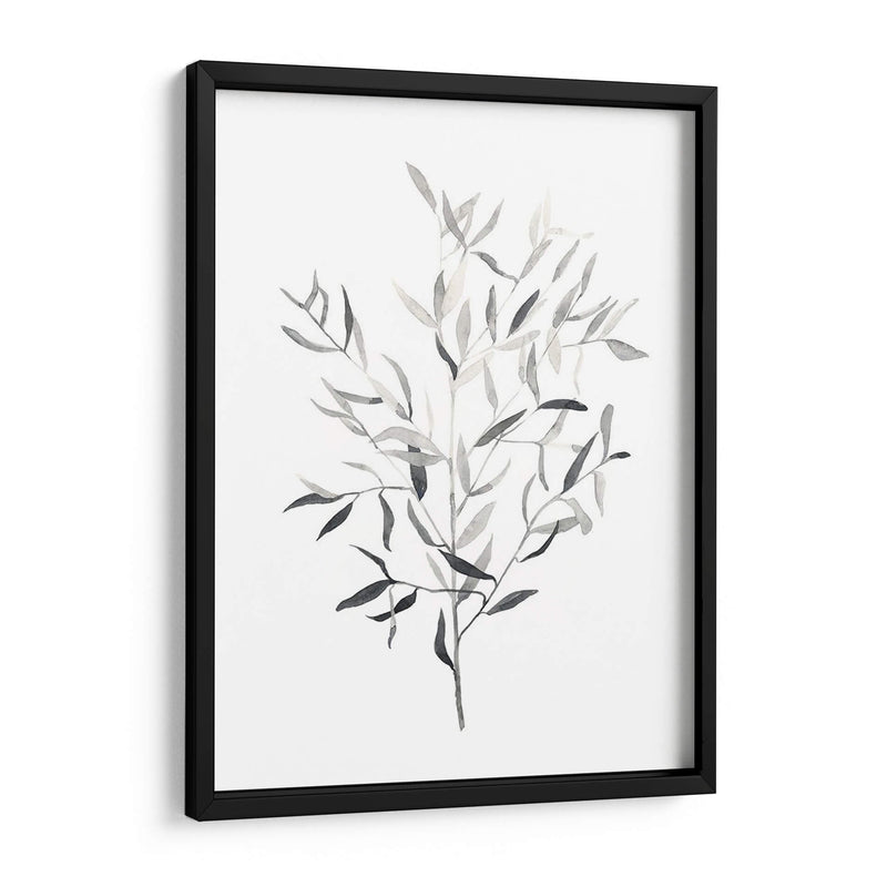 Paynes Gray Botanicals Iii - Emma Scarvey | Cuadro decorativo de Canvas Lab