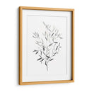 Paynes Gray Botanicals Iii - Emma Scarvey | Cuadro decorativo de Canvas Lab