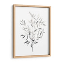 Paynes Gray Botanicals Iii - Emma Scarvey | Cuadro decorativo de Canvas Lab