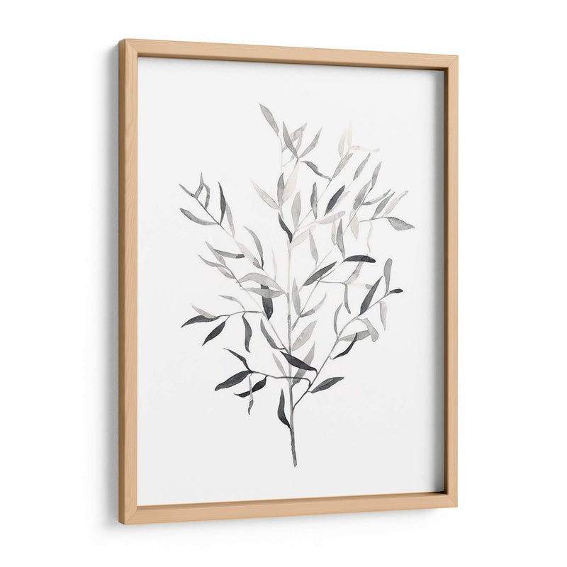 Paynes Gray Botanicals Iii - Emma Scarvey | Cuadro decorativo de Canvas Lab