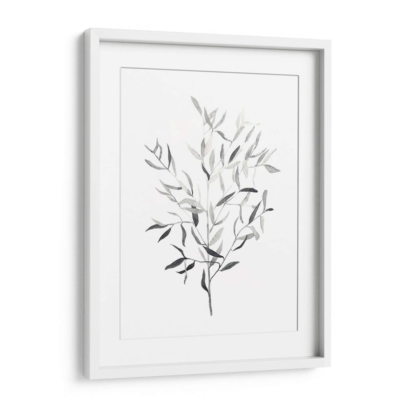 Paynes Gray Botanicals Iii - Emma Scarvey | Cuadro decorativo de Canvas Lab