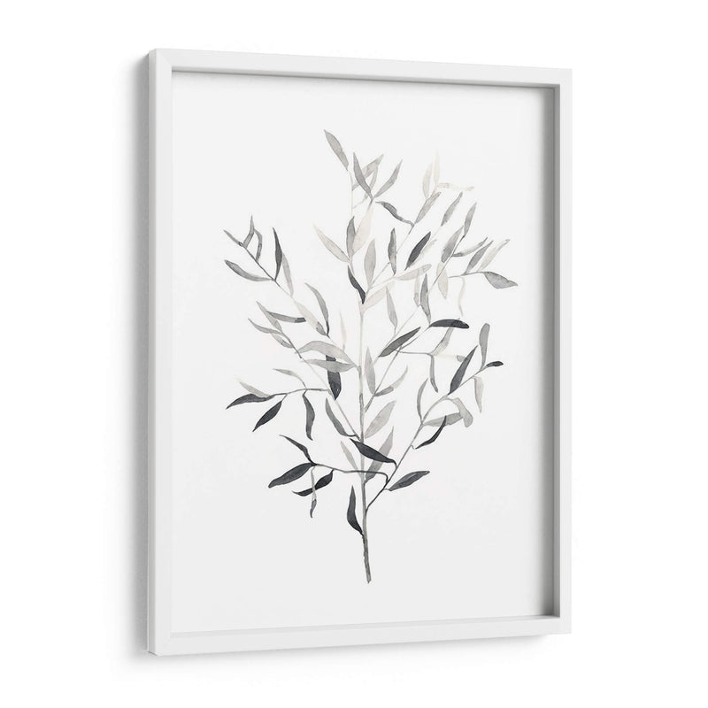 Paynes Gray Botanicals Iii - Emma Scarvey | Cuadro decorativo de Canvas Lab