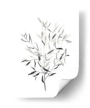 Paynes Gray Botanicals Iii - Emma Scarvey | Cuadro decorativo de Canvas Lab
