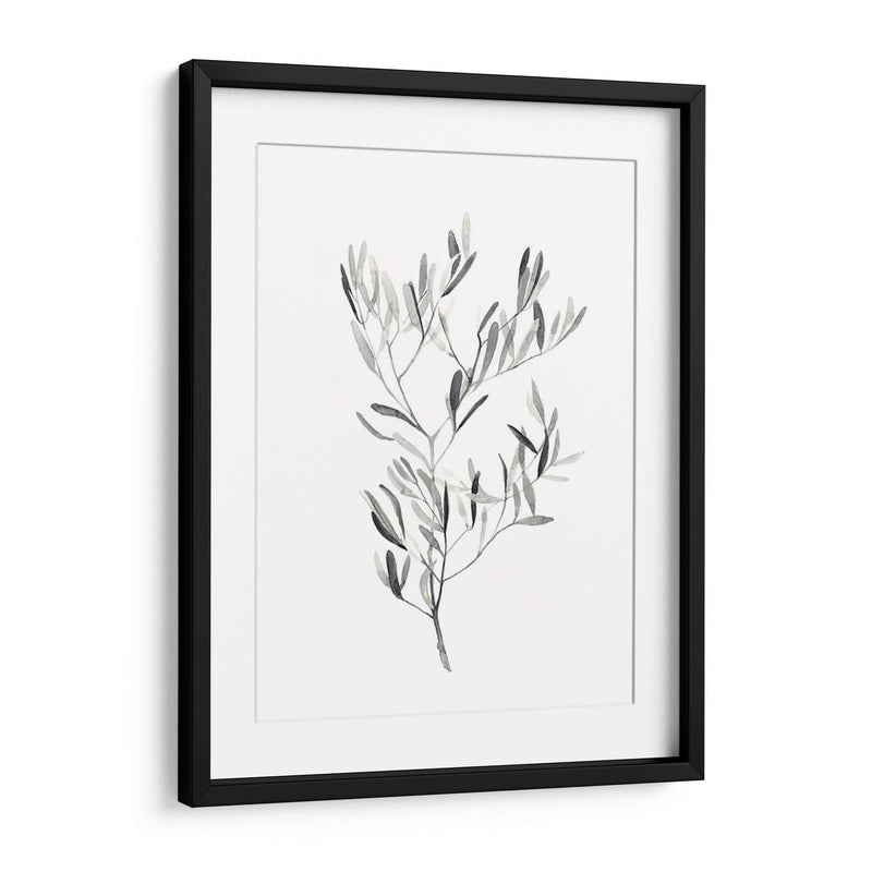 Paynes Gray Botanicals Iv - Emma Scarvey | Cuadro decorativo de Canvas Lab