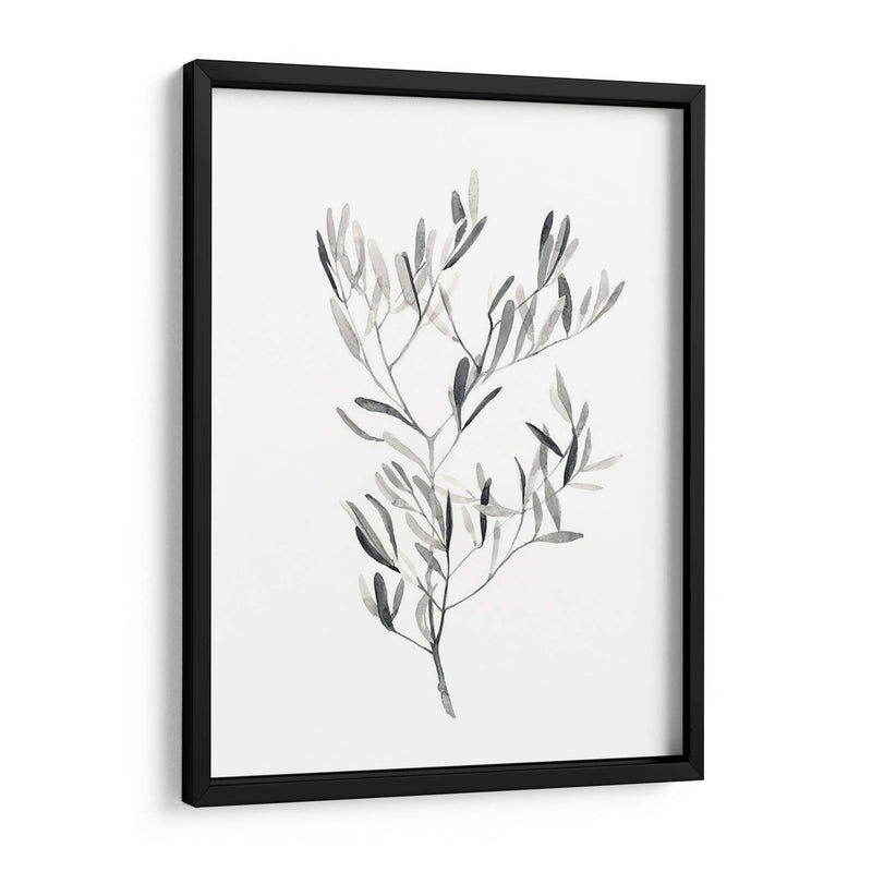 Paynes Gray Botanicals Iv - Emma Scarvey | Cuadro decorativo de Canvas Lab