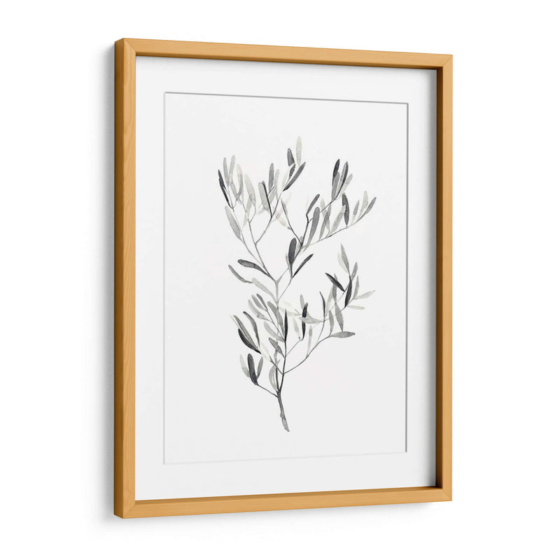 Paynes Gray Botanicals Iv - Emma Scarvey | Cuadro decorativo de Canvas Lab