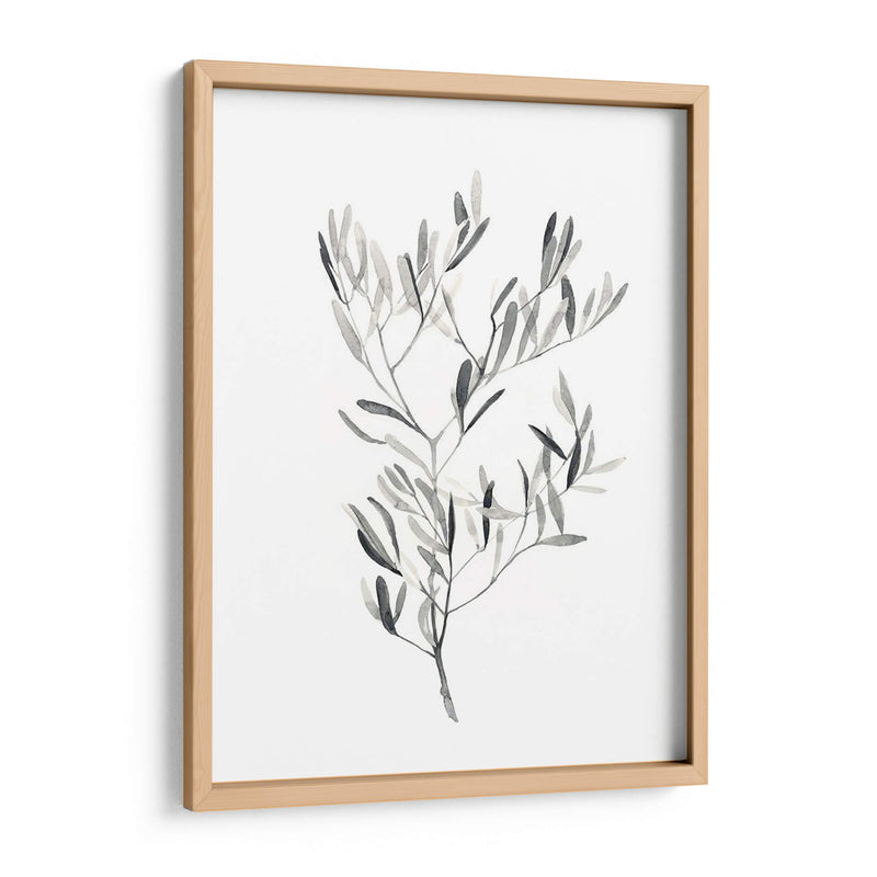 Paynes Gray Botanicals Iv - Emma Scarvey | Cuadro decorativo de Canvas Lab