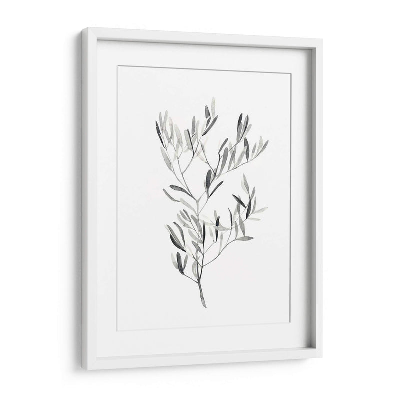 Paynes Gray Botanicals Iv - Emma Scarvey | Cuadro decorativo de Canvas Lab