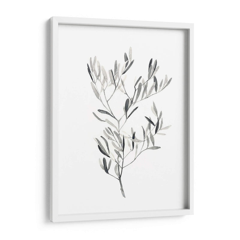 Paynes Gray Botanicals Iv - Emma Scarvey | Cuadro decorativo de Canvas Lab