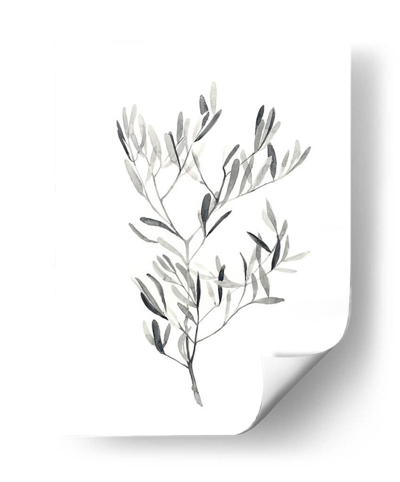 Paynes Gray Botanicals Iv - Emma Scarvey | Cuadro decorativo de Canvas Lab