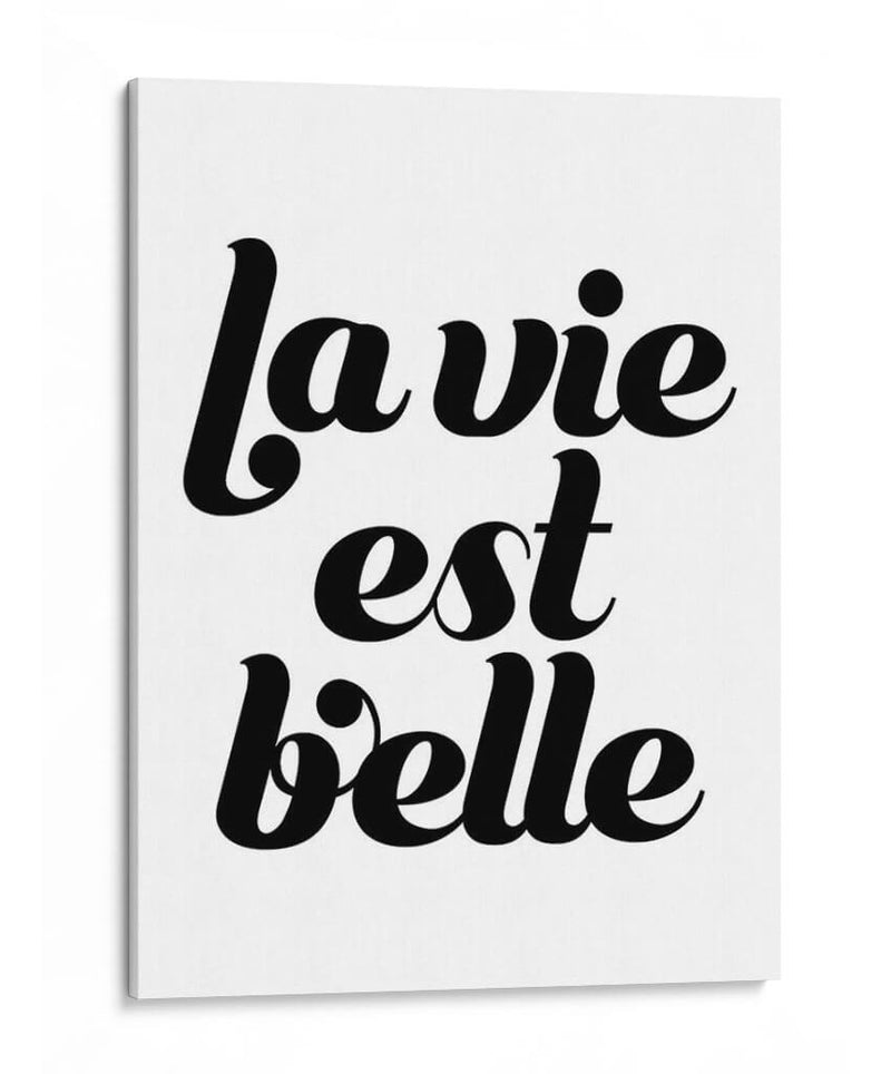 La Vie Iiii - Grace Popp | Cuadro decorativo de Canvas Lab