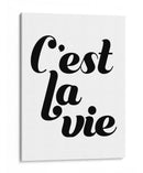 La Vie Iv - Grace Popp | Cuadro decorativo de Canvas Lab