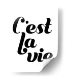 La Vie Iv - Grace Popp | Cuadro decorativo de Canvas Lab