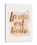 La Vie En Pink Iii - Grace Popp | Cuadro decorativo de Canvas Lab