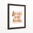 La Vie En Pink Iii - Grace Popp | Cuadro decorativo de Canvas Lab