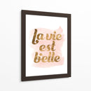 La Vie En Pink Iii - Grace Popp | Cuadro decorativo de Canvas Lab