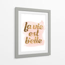 La Vie En Pink Iii - Grace Popp | Cuadro decorativo de Canvas Lab