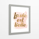 La Vie En Pink Iii - Grace Popp | Cuadro decorativo de Canvas Lab