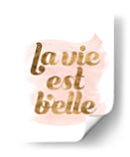 La Vie En Pink Iii - Grace Popp | Cuadro decorativo de Canvas Lab