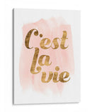 La Vie En Pink Iv - Grace Popp | Cuadro decorativo de Canvas Lab