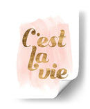 La Vie En Pink Iv - Grace Popp | Cuadro decorativo de Canvas Lab