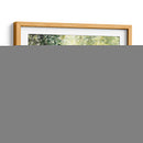 Virginia Woods Iv - Natasha Chabot | Cuadro decorativo de Canvas Lab