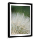 Macro Dandilion I - Renee W. Stramel | Cuadro decorativo de Canvas Lab