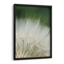 Macro Dandilion I - Renee W. Stramel | Cuadro decorativo de Canvas Lab