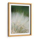 Macro Dandilion I - Renee W. Stramel | Cuadro decorativo de Canvas Lab