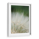 Macro Dandilion I - Renee W. Stramel | Cuadro decorativo de Canvas Lab