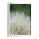 Macro Dandilion I - Renee W. Stramel | Cuadro decorativo de Canvas Lab