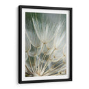 Macro Dandilion Ii - Renee W. Stramel | Cuadro decorativo de Canvas Lab