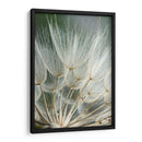Macro Dandilion Ii - Renee W. Stramel | Cuadro decorativo de Canvas Lab