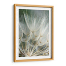 Macro Dandilion Ii - Renee W. Stramel | Cuadro decorativo de Canvas Lab