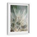 Macro Dandilion Ii - Renee W. Stramel | Cuadro decorativo de Canvas Lab