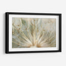 Macro Dandilion Iv - Renee W. Stramel | Cuadro decorativo de Canvas Lab