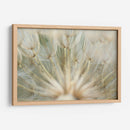 Macro Dandilion Iv - Renee W. Stramel | Cuadro decorativo de Canvas Lab