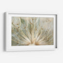 Macro Dandilion Iv - Renee W. Stramel | Cuadro decorativo de Canvas Lab