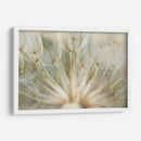 Macro Dandilion Iv - Renee W. Stramel | Cuadro decorativo de Canvas Lab