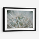 Macro Dandilion V - Renee W. Stramel | Cuadro decorativo de Canvas Lab