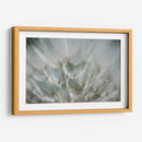 Macro Dandilion V - Renee W. Stramel | Cuadro decorativo de Canvas Lab
