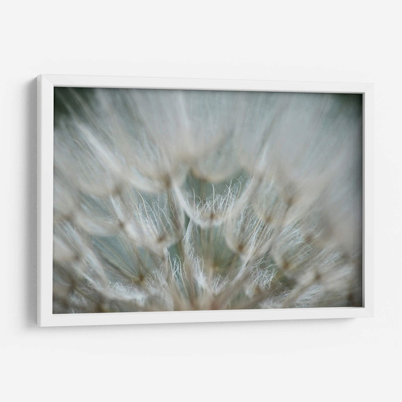 Macro Dandilion V - Renee W. Stramel | Cuadro decorativo de Canvas Lab