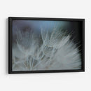 Macro Dandilion Vii - Renee W. Stramel | Cuadro decorativo de Canvas Lab
