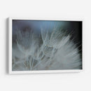 Macro Dandilion Vii - Renee W. Stramel | Cuadro decorativo de Canvas Lab
