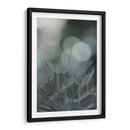 Macro Dandilion Ix - Renee W. Stramel | Cuadro decorativo de Canvas Lab