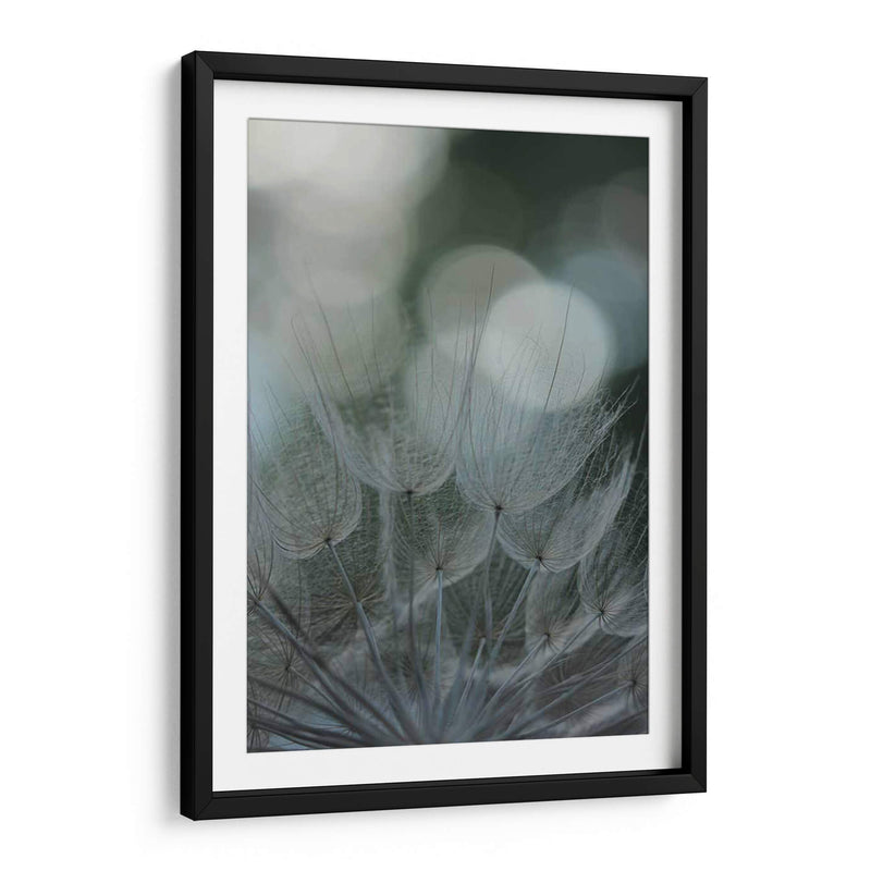 Macro Dandilion Ix - Renee W. Stramel | Cuadro decorativo de Canvas Lab